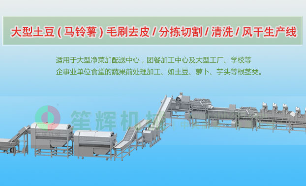 岳阳连续式土豆去皮清洗切割风干生产线